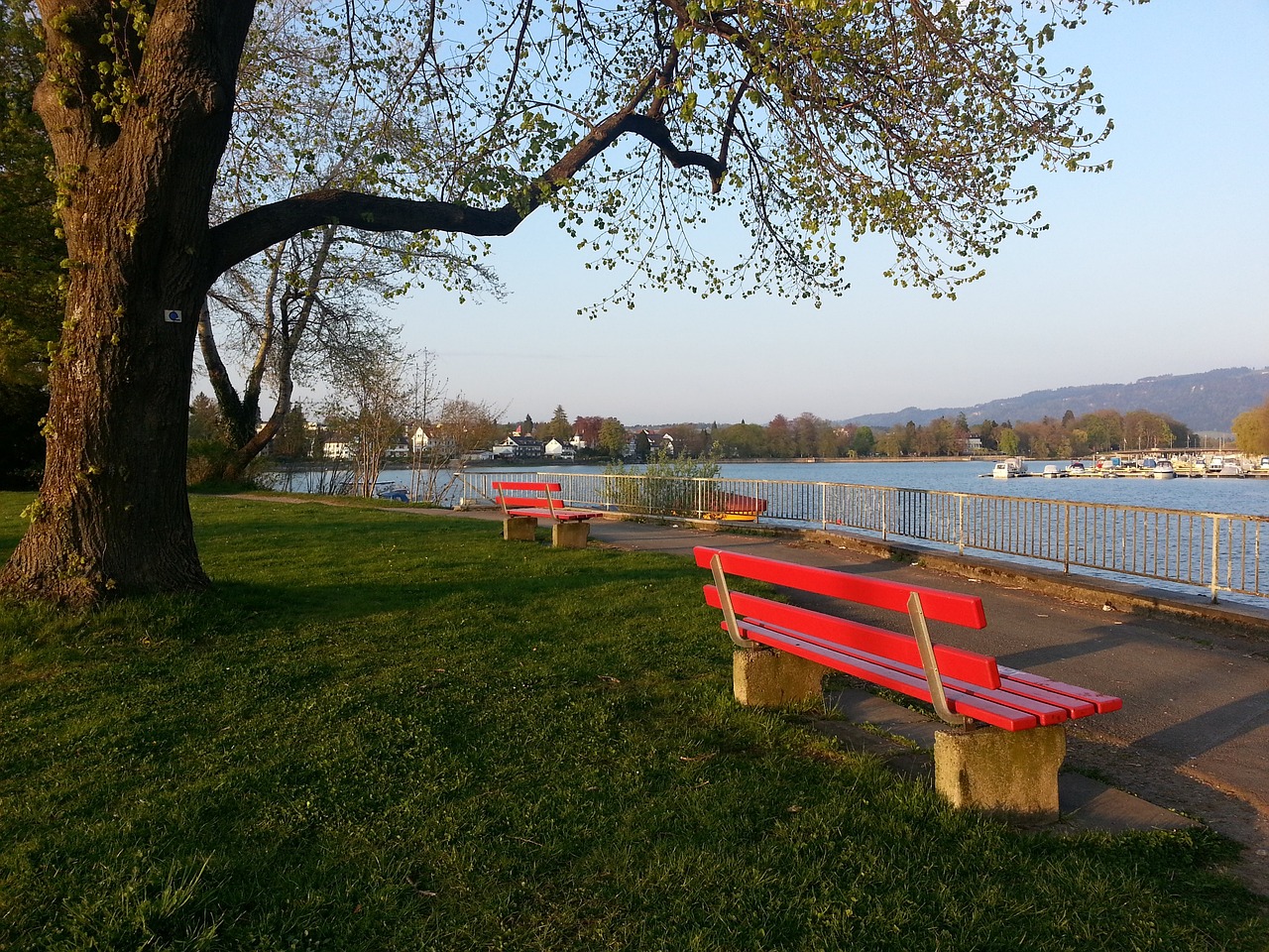 协主席路易 协主席路易