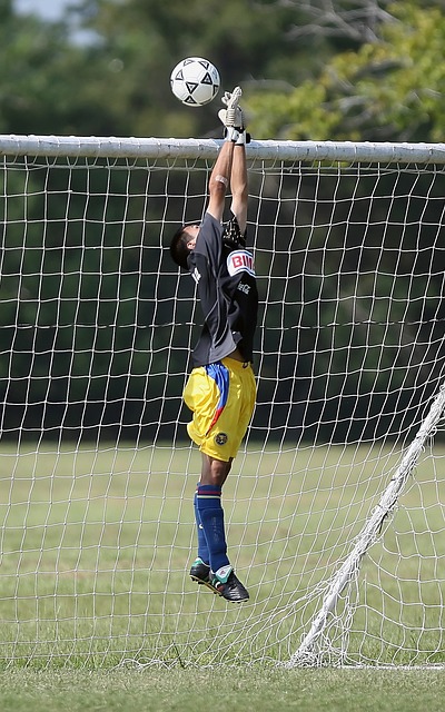 最大限度地 最大限度地