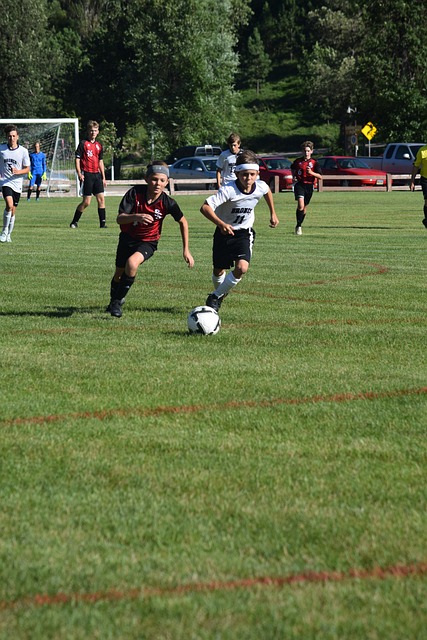 略和未来布 略和未来布