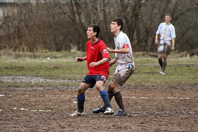 观察与分析 观察与分析